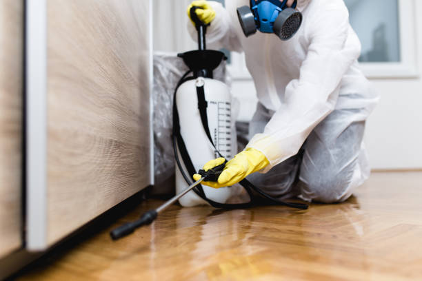 Best Ant Control Services  in Renton, WA