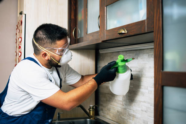 Best Bed Bug Extermination  in Renton, WA