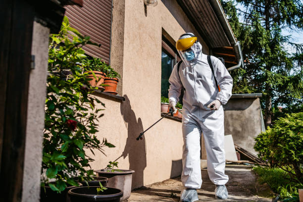 Best Residential Pest Control  in Renton, WA