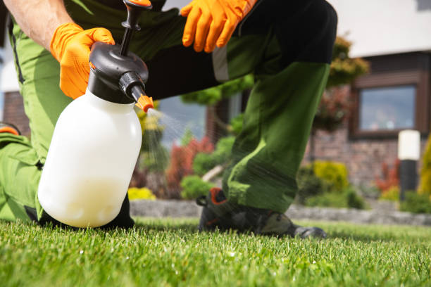 Best Pest Inspection Near Me  in Renton, WA
