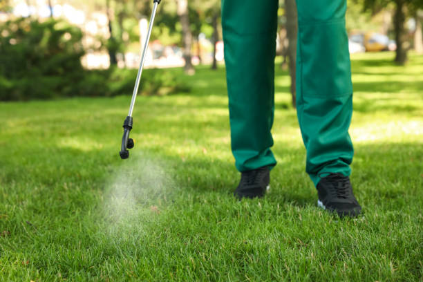 Best Pest Control for Restaurants  in Renton, WA