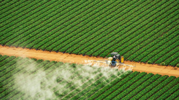 Best Mosquito Control Services  in Renton, WA
