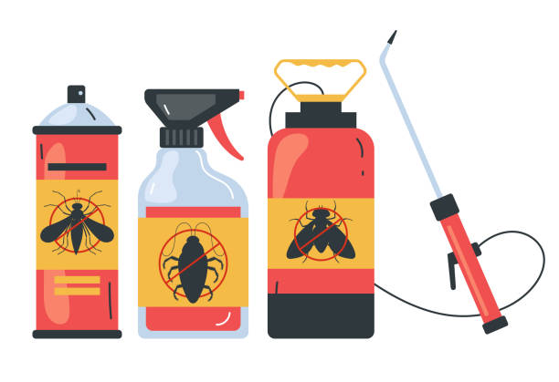 Best Local Pest Control Services  in Renton, WA
